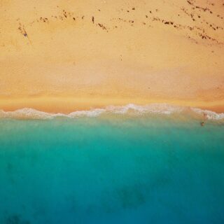 Black Friday travel deals